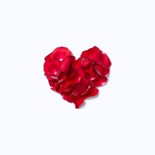Rose of heart
